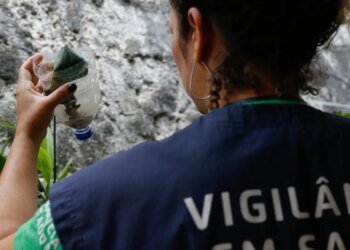 Dengue e chikungunya levam Minas Gerais a decretar emergência
