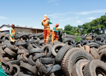 Brasil pode registrar até 4,2 milhões de casos de dengue em 2024