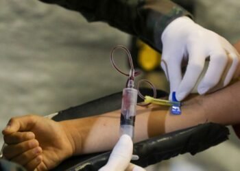 Dengue no Rio passa de 71 mil casos; seis pessoas morreram