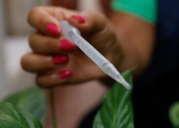 Ministra pede apoio da população para eliminar focos de dengue em casa