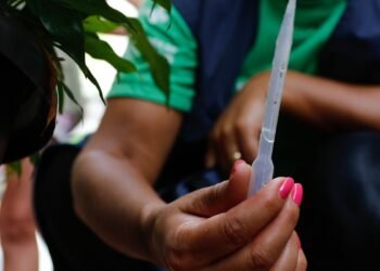 Distribuição da vacina contra a dengue começa na próxima semana