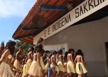 MEC prorroga prazos de programa de formação de professores