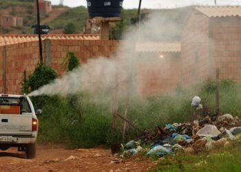 Saúde abre edital para contratação emergencial de fumacê no DF