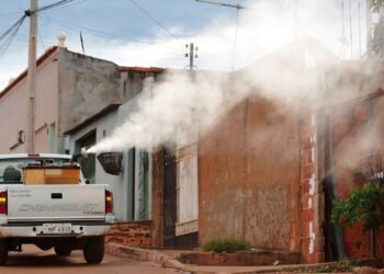 Ivermectina não é eficaz contra dengue, alerta Ministério da Saúde