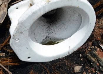 Casos de dengue no estado do Rio aumentam 56% em uma semana