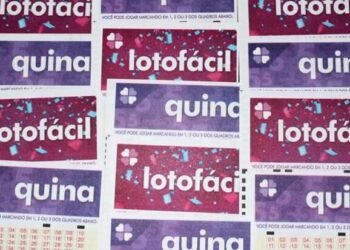 Lotofácil e Quina podem pagar hoje R$ 15 milhões