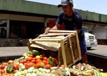 Pesquisa traz dicas sobre como reduzir desperdício de alimentos