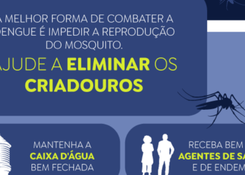 Casos prováveis de dengue se aproximam de 400 mil no país em 2024