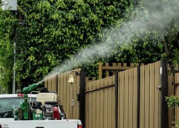 Rio de Janeiro confirma segunda morte por dengue