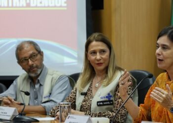 Juntas, dengue e gripe podem pressionar sistema de saúde, diz ministra