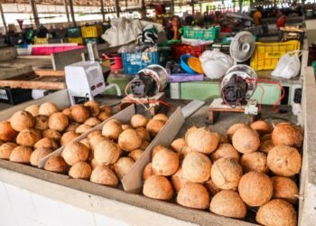 Obras da Central de Abastecimento avançam e Hortifruti passa a funcionar ao lado das Confecções – Prefeitura Municipal de Candeias.