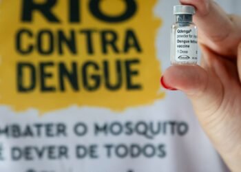 Rio de Janeiro confirma quinta morte por dengue