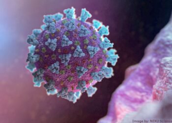 Pesquisa avalia sequelas da covid-19 na população brasileira