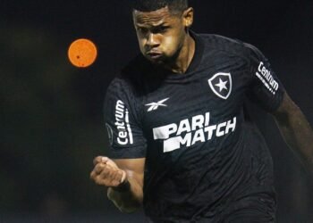 Botafogo garante presença na fase de grupos da Copa Libertadores