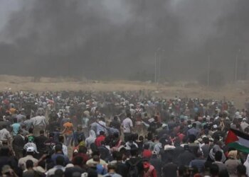 Relatora da ONU diz que Israel comete genocídio na Faixa de Gaza