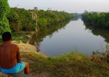 Justiça determina saída de invasores de terra indígena no Pará