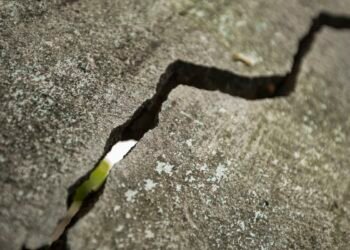 Braskem: relator de CPI quer busca e apreensão caso MME não ceda dados