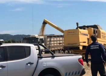 Operação Dagon: Receita investiga fraudes fiscais no agronegócio