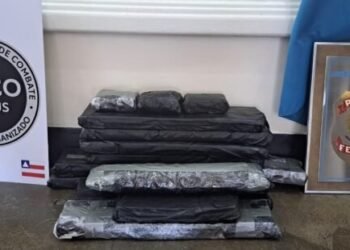 Casal em navio cruzeiro é preso com 28 kg de cocaína no interior baiano