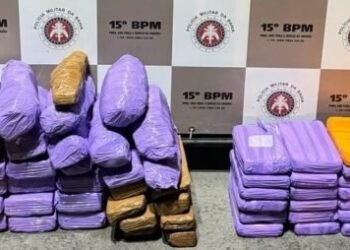 Polícia Militar apreende 65kg de drogas no interior baiano