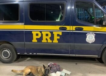 Cão farejador da PRF encontra cocaína em bagagem de ônibus na Bahia