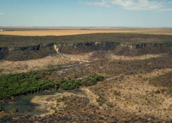 Governo monta força-tarefa para conter desmatamento no Cerrado