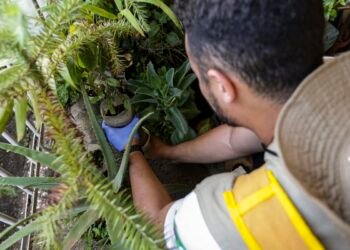 Dia D: secretarias de saúde promovem ações de combate à dengue