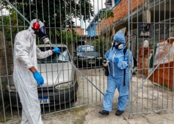 Capital paulista está perto de atingir índice epidêmico de dengue