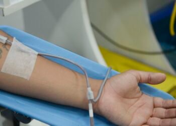 Diagnóstico de dengue e imunização exigem cautelas na doação de sangue
