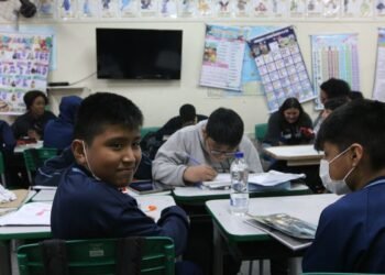 Ensino do sexto ao nono ano exige mais atenção para evitar repetência