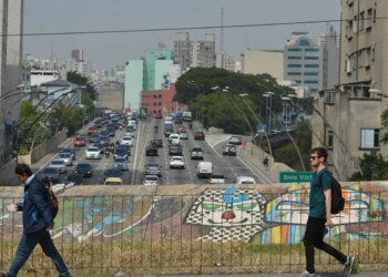 Estado de São Paulo decreta emergência para dengue