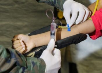 Dengue: 21 estados e o DF têm queda ou estabilidade no número de casos