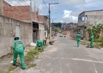 Prefeitura segue com ações de limpeza urbana reforça combate a Dengue – Prefeitura de Simões Filho