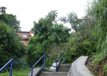 Com rapidez no atendimento, Prefeitura realiza retirada de árvore que caiu na escada do Malembá neste domingo – Prefeitura Municipal de Candeias.