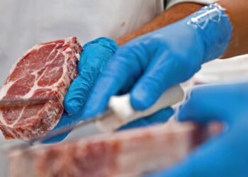 Conab: aumento na produção de carnes deve manter preços baixos
