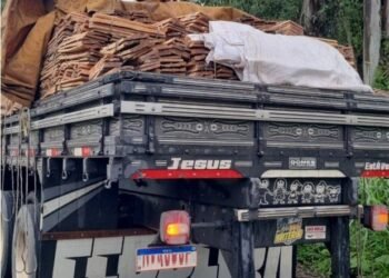 PRF apreende caminhão com carga de madeira sem documentação na Bahia