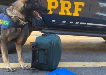 PRF apreende cocaína transportada em mala num ônibus no interior baiano