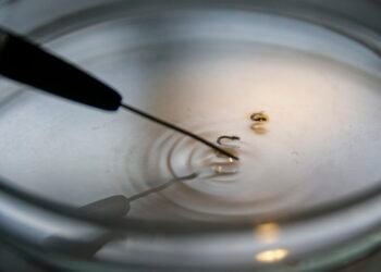 Brasil supera 1 mil mortes por dengue este ano