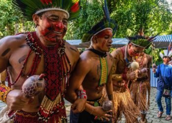 Feira aberta ao público reúne mais de 30 etnias indígenas
