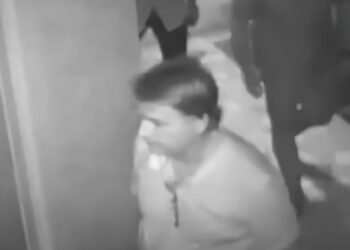 PGR envia ao STF manifestação sobre Bolsonaro na Embaixada da Hungria