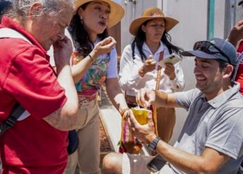 Chileno cria projeto para facilitar acessibilidade no campo