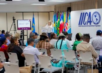 Cooperativismo inclui pequenos produtores no mercado, diz ex-ministro