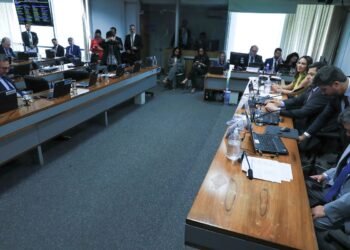 Relator acata sugestões da oposição para cotas raciais em concurso