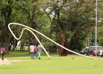 Juiz ordena que USP efetive matrícula de aluno barrado em cota racial