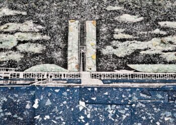 FGV Arte inaugura exposição Brasília, a arte da democracia