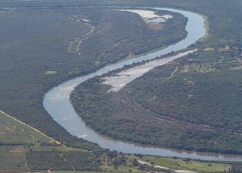 Mata Atlântica: desmatamento cai em áreas contínuas entre 2022 e 2023