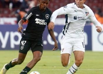 Botafogo joga futuro na Libertadores diante da LDU no Nilton Santos