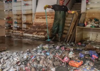Nísia Trindade nega colapso da saúde no Rio Grande do Sul