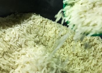 Brasil vai importar arroz para evitar especulação de preços