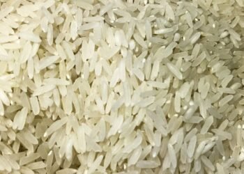 Camex zera tarifa de importação para garantir abastecimento de arroz